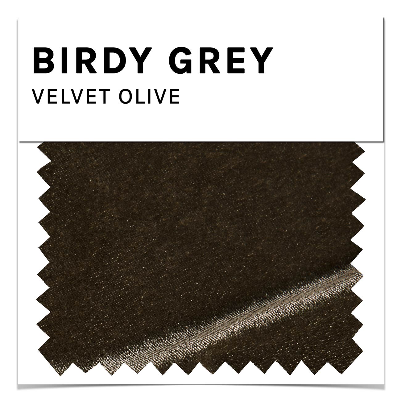 Swatch - Velvet in Olive