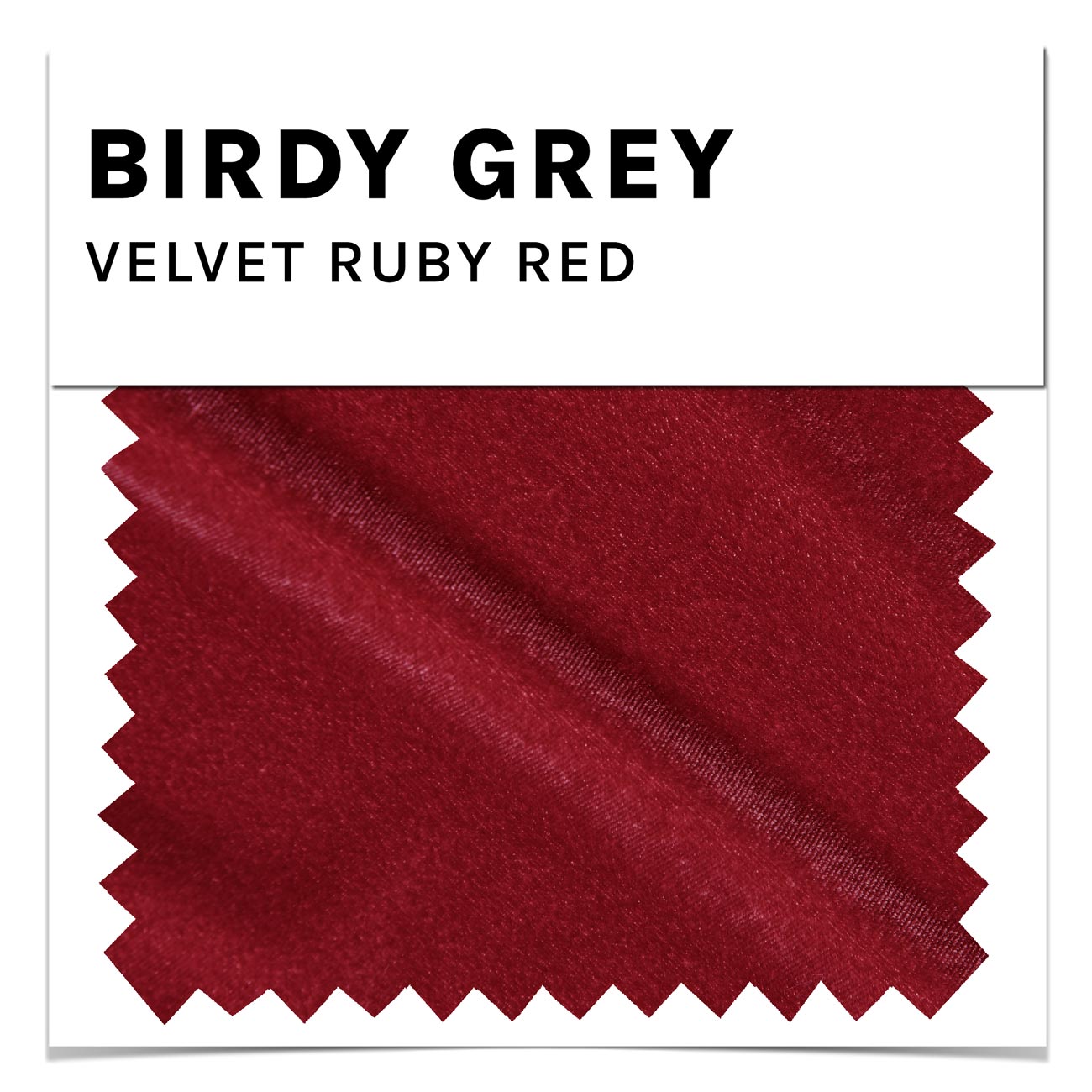 Ruby Red Velvet Swatch by Birdy Grey