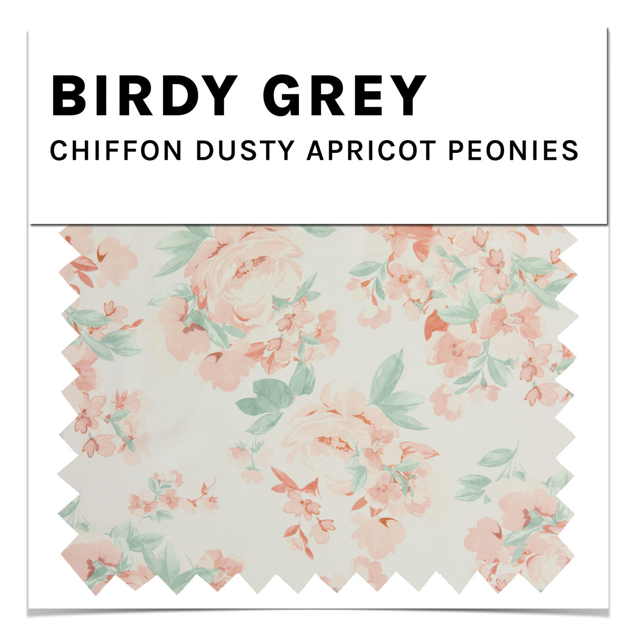 Chiffon in Dusty Apricot Peonies Swatch by Birdy Grey