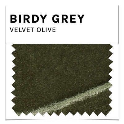 Velvet Swatch in Olive by Birdy Grey