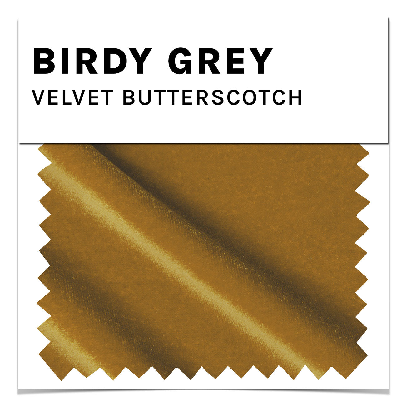 Butterscotch Velvet Swatch by Birdy Grey