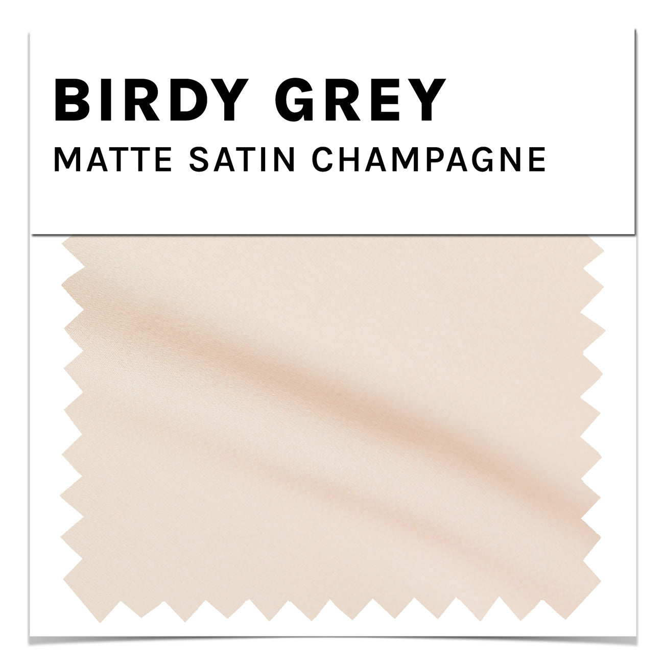 Champagne Matte Satin Swatch by Birdy Grey