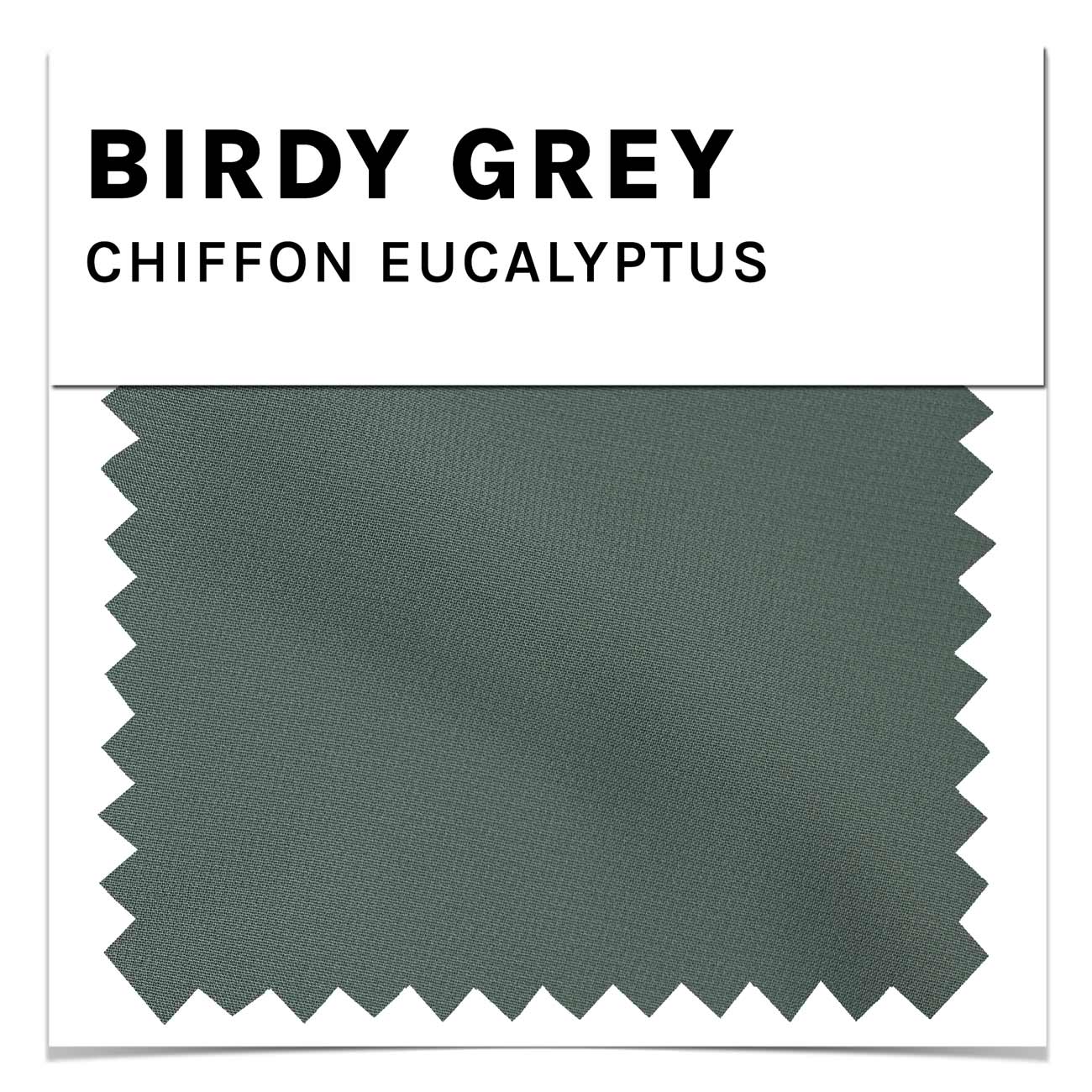 Eucalyptus Chiffon Swatch by Birdy Grey