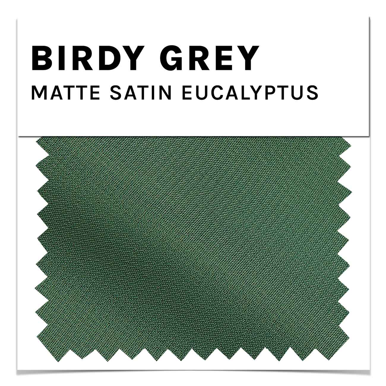 Eucalyptus Matte Satin Swatch by Birdy Grey