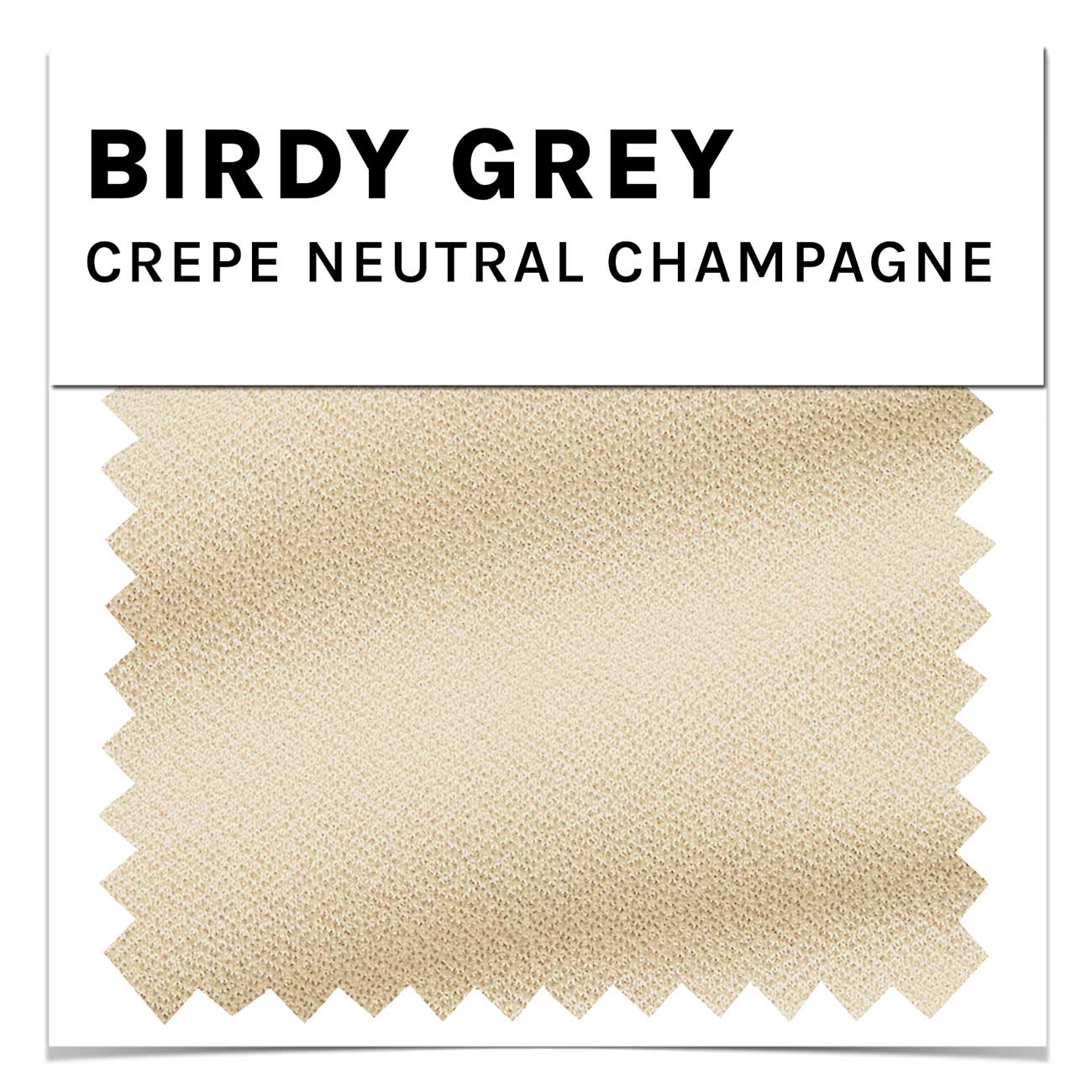 Neutral Champagne Crepe Swatch By Birdy Grey