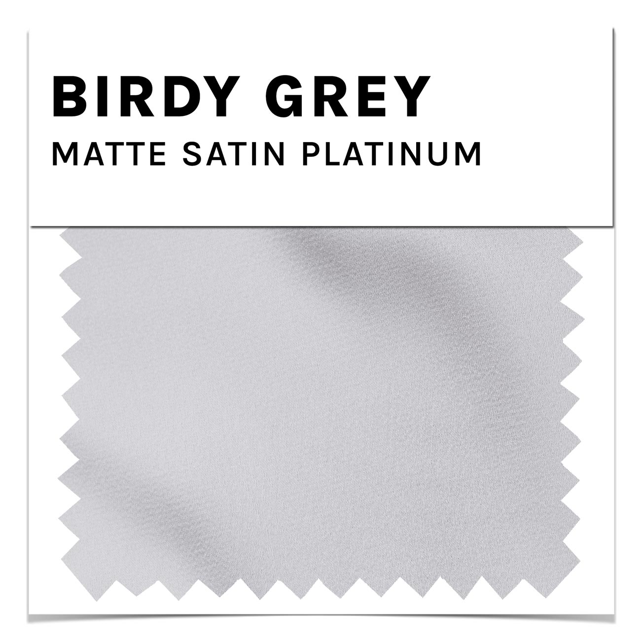 Platinum Matte Satin Swatch by Birdy Grey