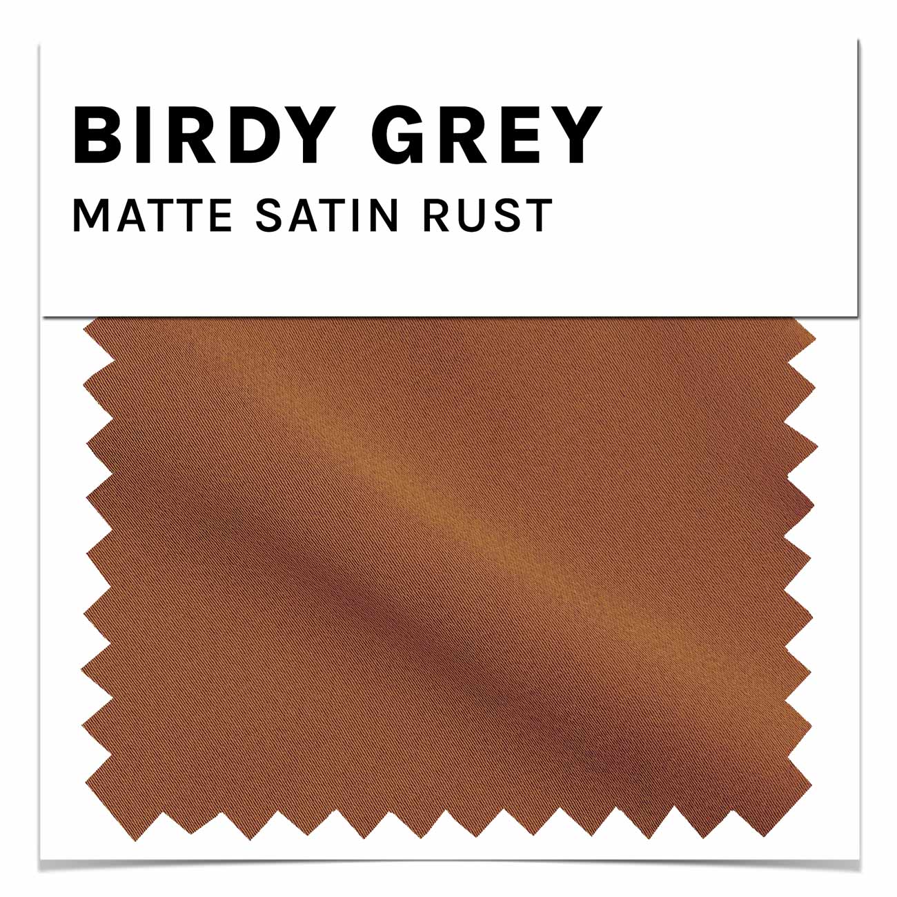 Matte Satin Swatch in Rust by Birdy Grey