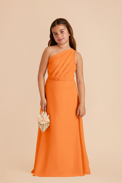 Apricot Kiara Junior Chiffon Dress by Birdy Grey