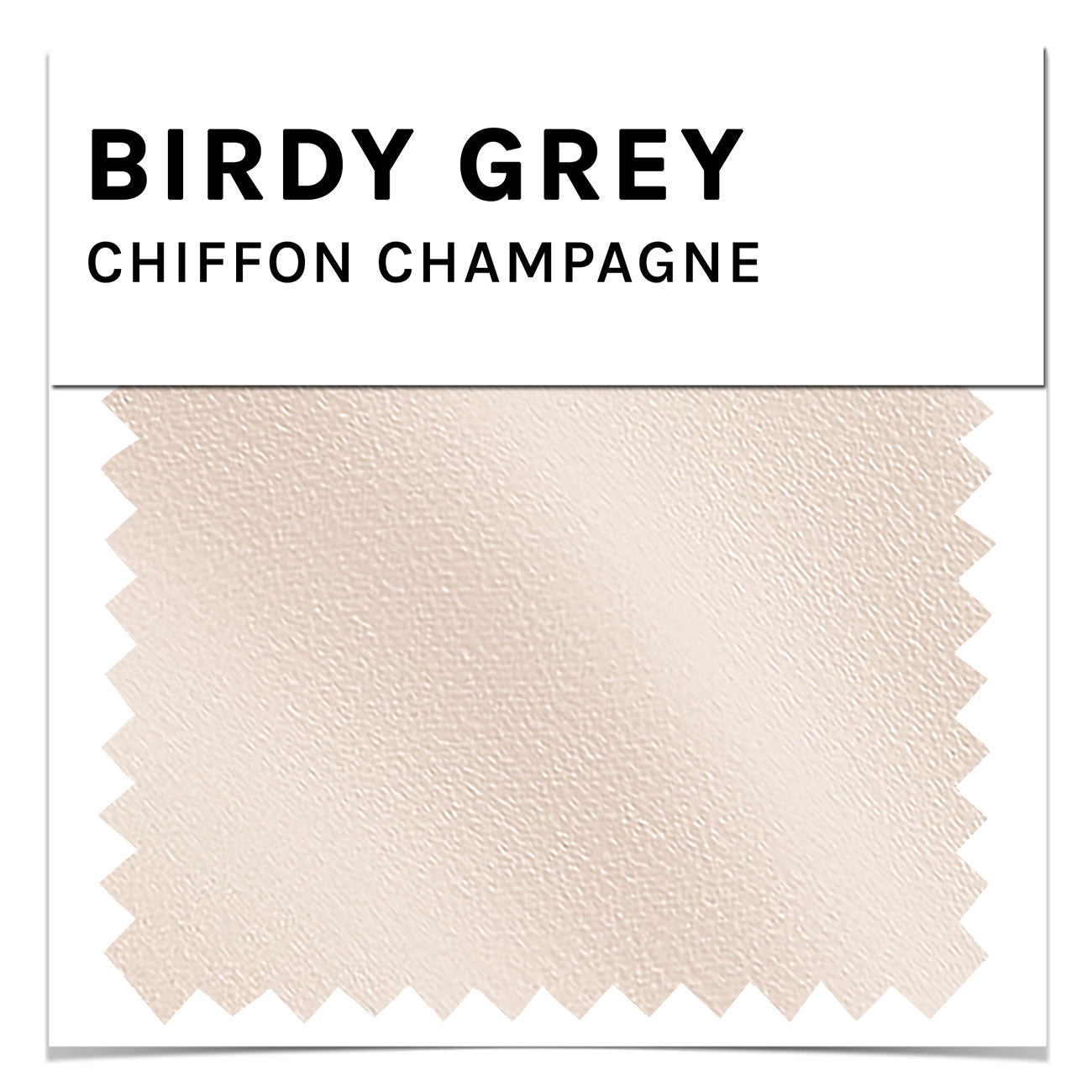 Chiffon Swatch in Champagne by Birdy Grey