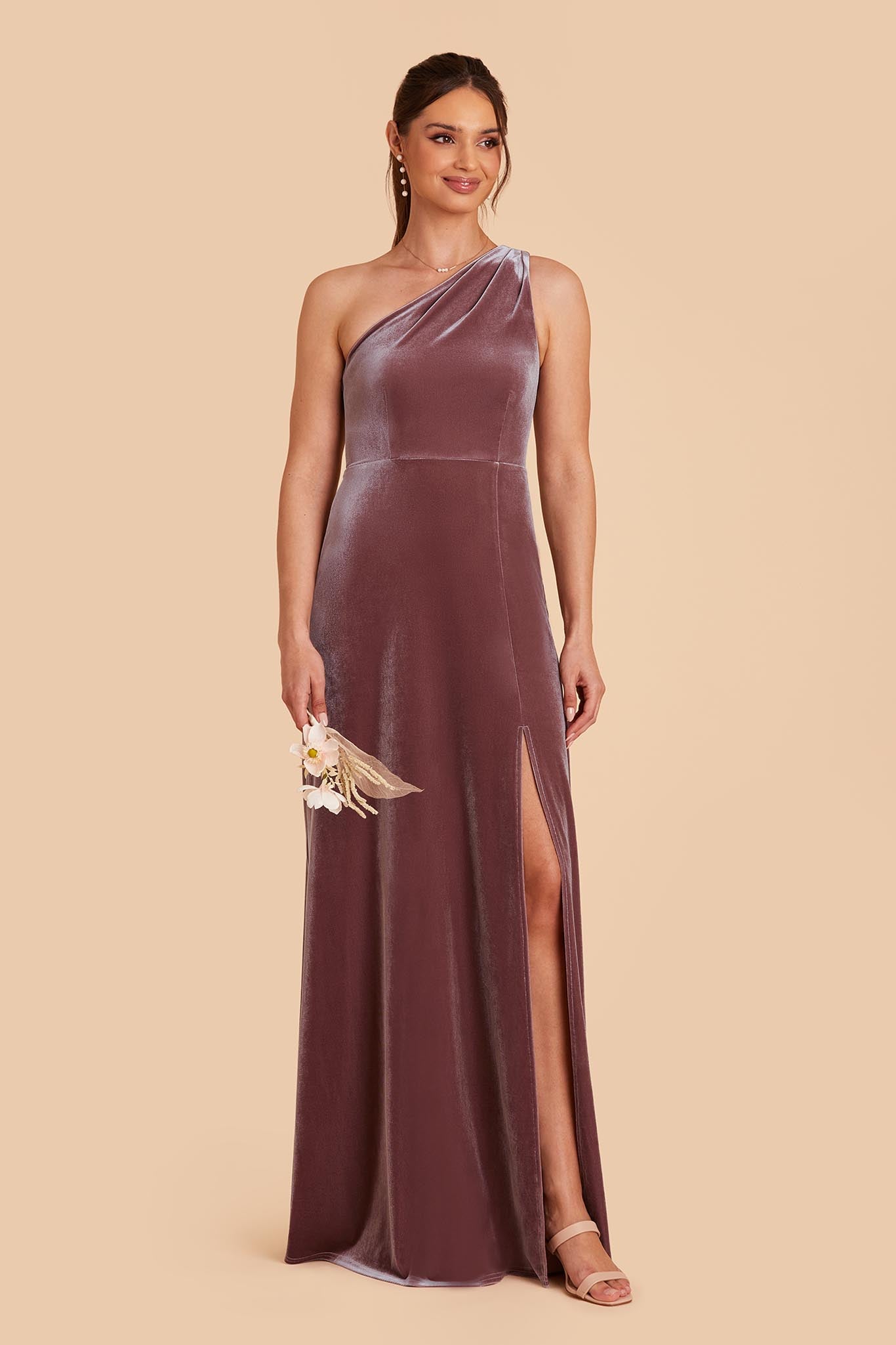 Desert Rose Kira Velvet Dress by Birdy Grey