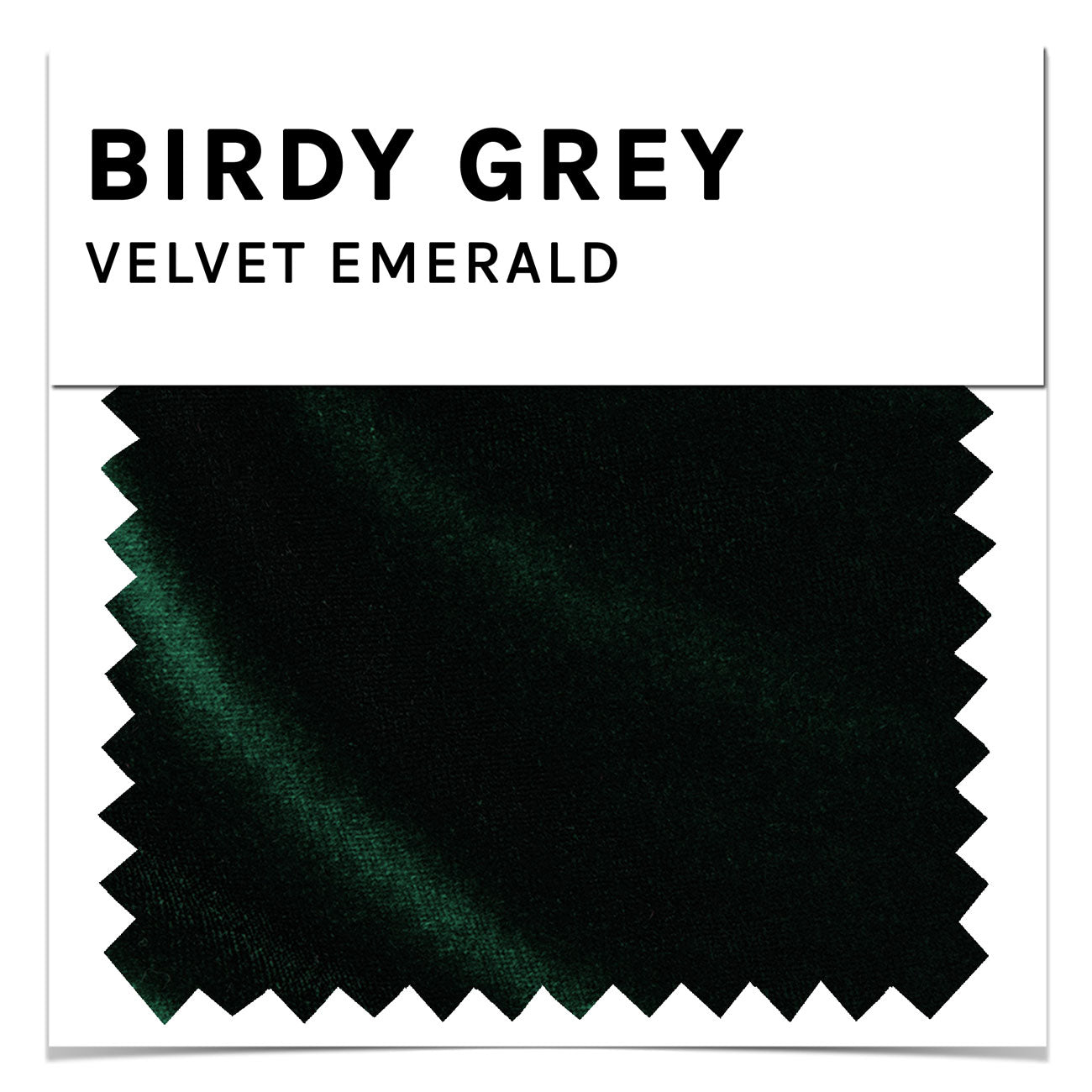 Swatch - Velvet in Emerald
