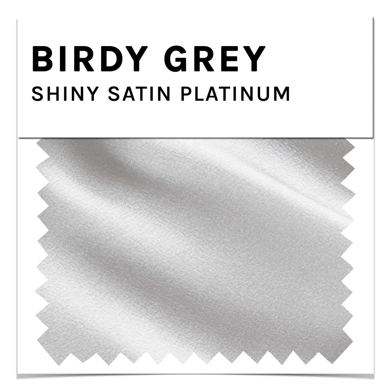 Satin Swatch in Platinum by Birdy Grey