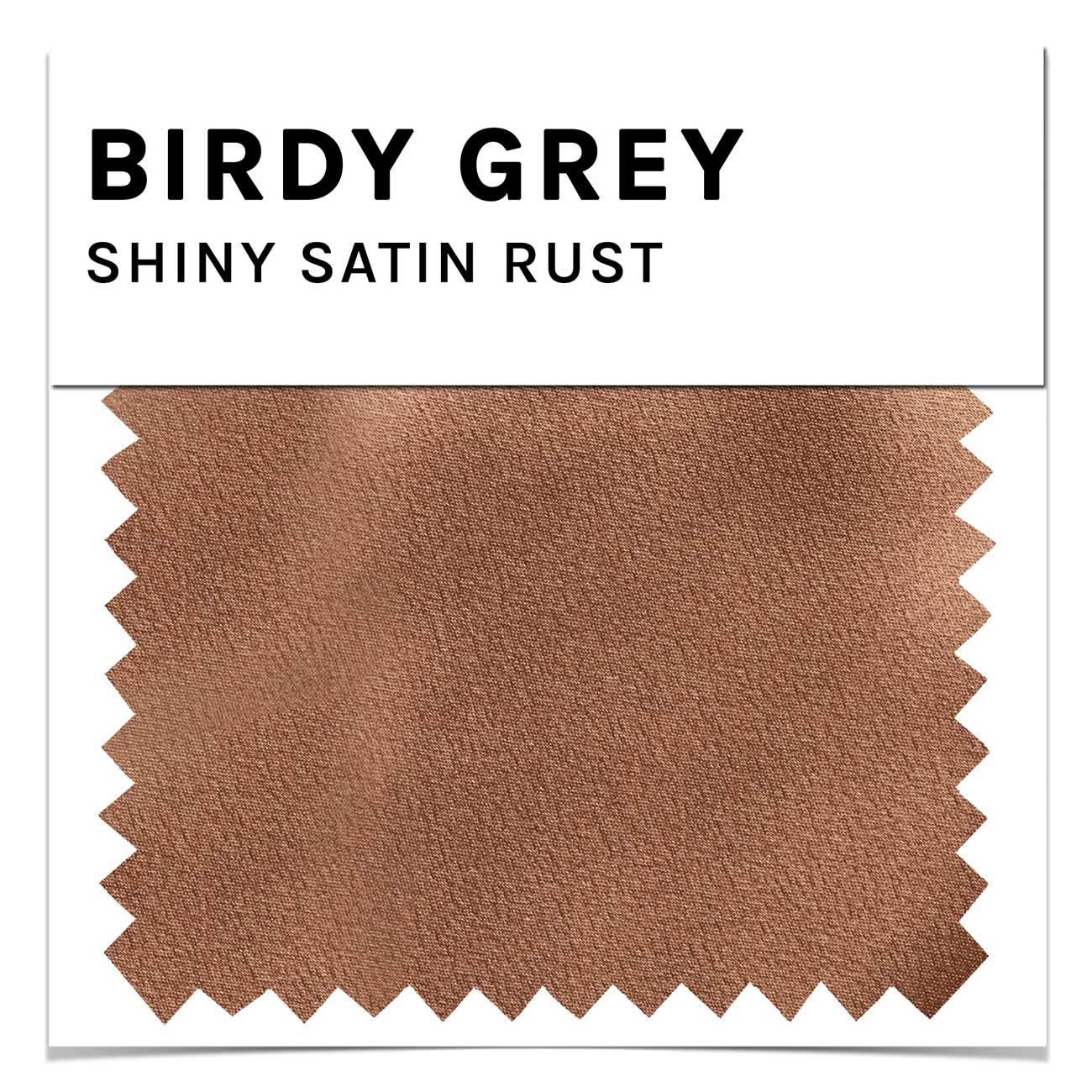 Swatch - Shiny Satin in Rust by Birdy Grey