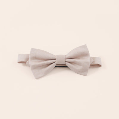 Harry  Taupe Bow Tie
