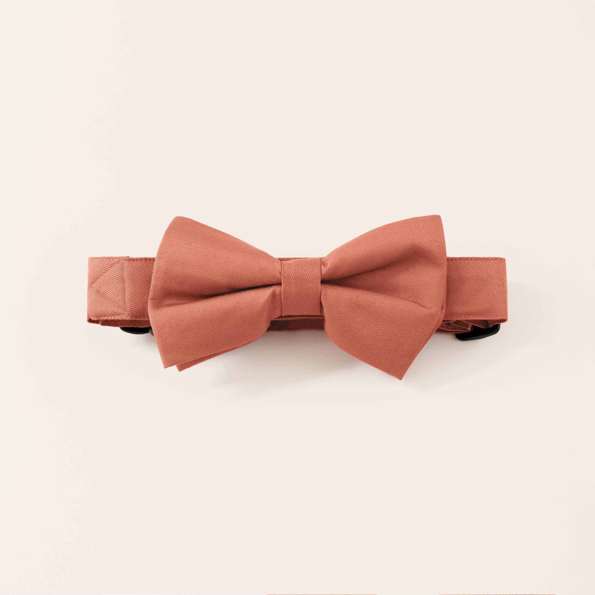 Sadie Dog Bow Tie Collar - Terracotta