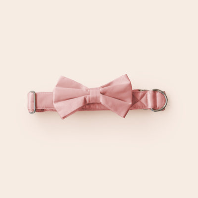 Muggsy Dog Bow Tie Collar in Dusty Rose by Birdy Grey, front view
