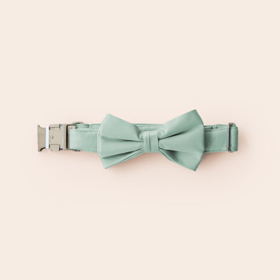 Muggsy Dog Bow Tie Collar in Sage by Birdy Grey, front view