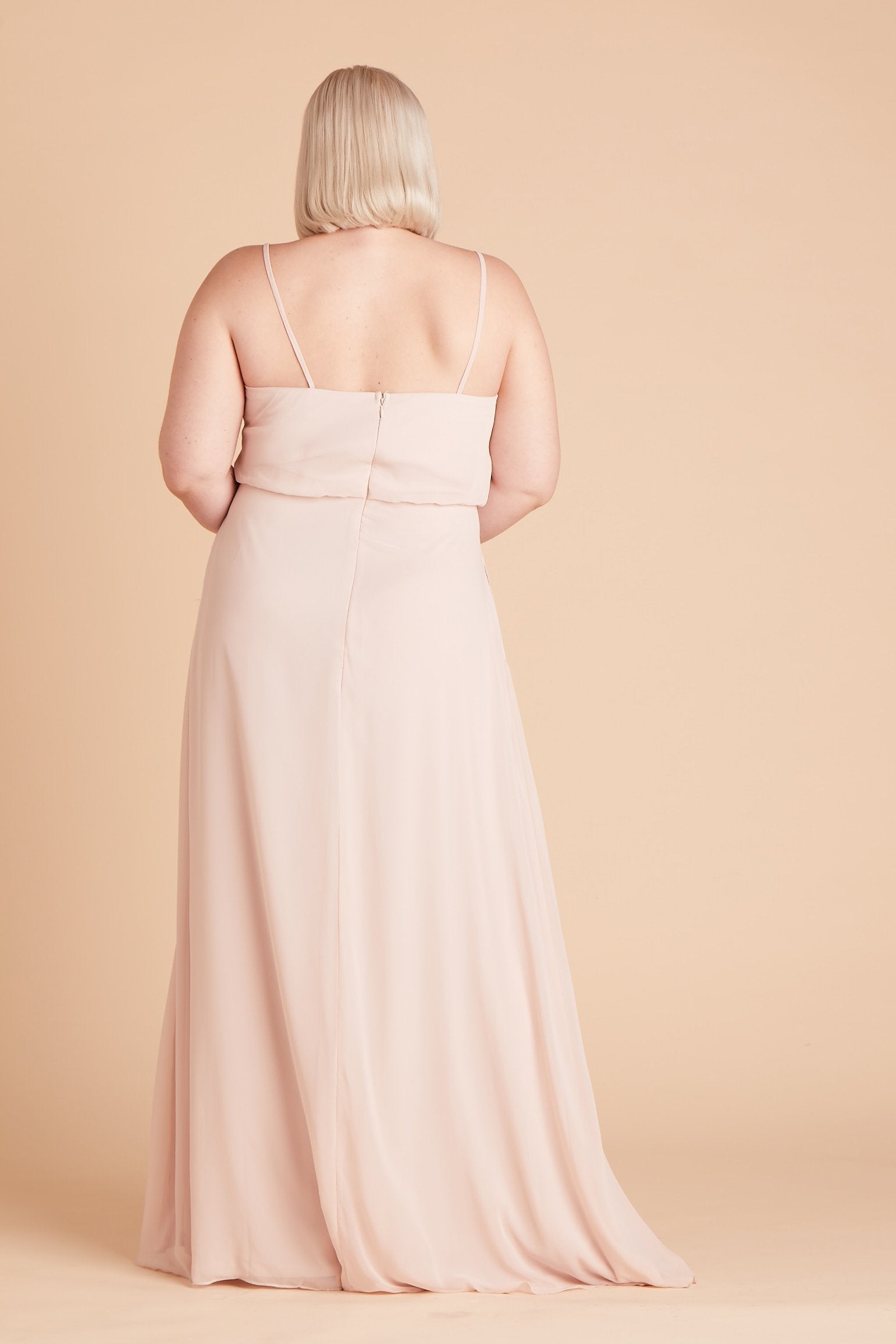 Gwennie plus size bridesmaid dress in pale blush chiffon by Birdy Grey, back view